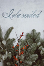 Cover: Iola smiled