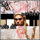 Cover: So perfekt wie du