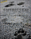 Cover: Entrissen - Eine Magnayen-Story