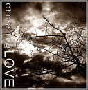 Cover: crossingLOVE