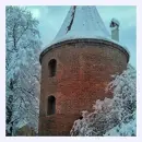 Cover: Winterliche Aufmerksamkeit