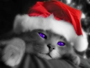 Cover: Nachtschatten - Little Christmas Sequel