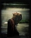 Cover: Der Gesang im Regen
