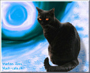 Cover: Die schwarze Katze