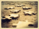 Cover: Puzzleteile