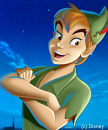 Cover: Geder Gay oder doch Peter Pan