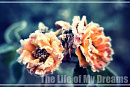 Cover: The Life of My Dreams