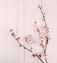 Cover: Eine Kirschblüte reist durch die Zeit