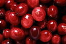Cover: Cranberries