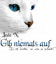 Cover: Gib Niemals Auf