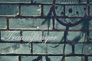 Cover: Traumfänger