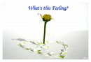 Cover: What's this feeling?