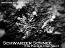Cover: Schwarzer Schnee