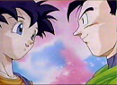 Cover: Son Gohan und Videl