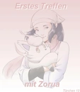 Cover: Erstes Treffen mit Zorua