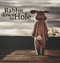Cover: Rabbit down the Hole