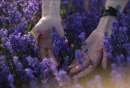 Cover: Jahrestag