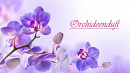 Cover: Orchideenduft