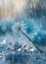 Cover: Tauwetter