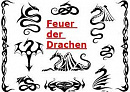 Cover: Das Feuer der Drachen