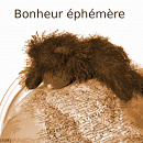 Cover: Bonheur éphémère