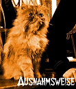 Cover: Ausnahmsweise