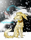 Cover: Sighthounds