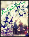 Cover: Apfelblüten