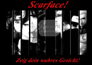 Cover: Scar Face