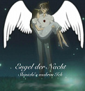 Cover: Engel der Nacht