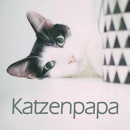 Cover: Katzenpapa