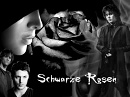 Cover: schwarze Rosen