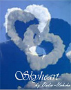 Cover: Skyheart