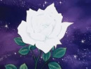 Cover: Lady Oscar - Eine Rose für die Ewigkeit