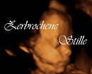 Cover: Zerbrochene Stille.