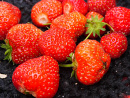 Cover: Der Geschmack von Erdbeeren