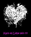 Cover: Kann es Liebe sein?