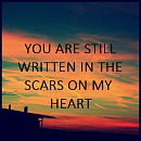 Cover: you are still written in the scars on my heart