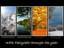 Cover: With fairytale through the year