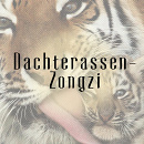 Cover: Dachterassen-Zongzi