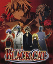 Cover: Black Cat & Chrome Breaker