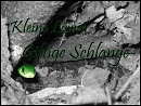 Cover: Kleine Löwin, Giftige Schlange