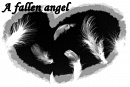 Cover: A fallen angel