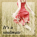 Cover: It's a soulmate