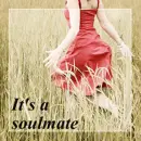 Cover: It's a soulmate