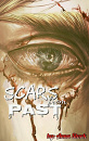 Cover: Scars from Past