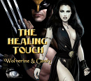 Cover: The Healing Touch