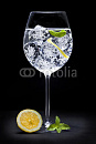Cover: Gin Tonic