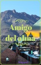 Cover: Amigo del alma