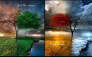 Cover: Just like seasons